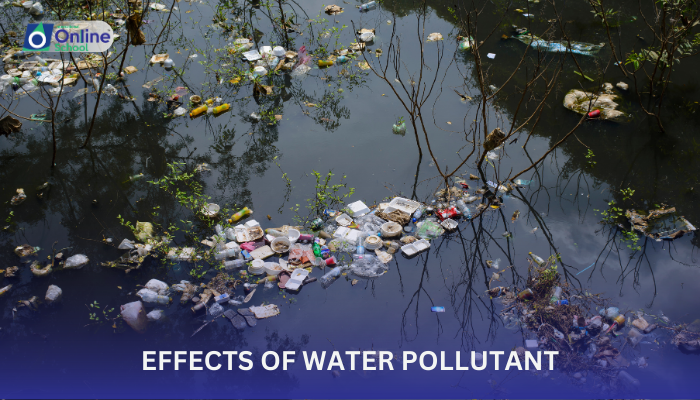 Lesson 07: Effects of Water Pollutants